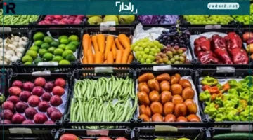 25 جنيهاً فقط.. أرخص أسعار البامية وأبرز تغييرات الخضروات والفاكهة في السوق ليوم الثلاثاء 11 نوفمبر 2025